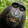 Hamid
