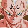 TREINAMENTO DO VEGETA