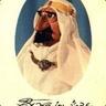 Sheik Ben Redic Fy Fazan
