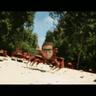 Shane_634
