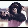 Monkey Mossy