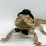 Jarl of LootBugs