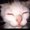 cece