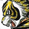 SUPER LIGER TIGER