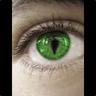 Green Eyes