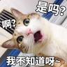 睡睡觉-3-
