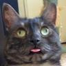 MaD_CaT кмс по сексу
