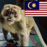 BATU CAVE MONKEY