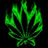 WriX™