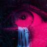 Simotroid