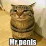mr.cat chicken wings