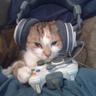 copycat