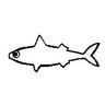I'm Just A Fish