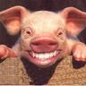 ★ San Hippo