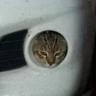 Meow Meow