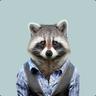 Mr. Raccoon