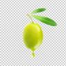 Aceituna hellcase.com