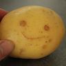 potato