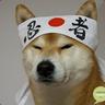 yosshizi-