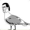 StevenSeagulL