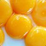 yokes17