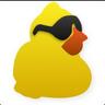 Ducky Canard