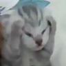 Chlebiik