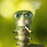 Kargo