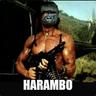 HARAMBO