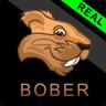 BoBeR