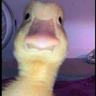 _ツ S.B.Duckツ_