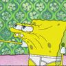 Sponge Mem