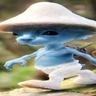 PerbNation