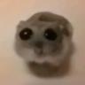 Kurkovich