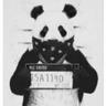 panda