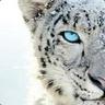 Fress