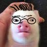 Tigurchik