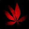 Maple Leaf᠌᠌