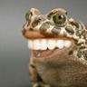 frogmanXpcrw