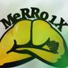 MeRRo1X