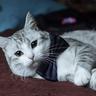 I love masya
