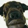 Kiss me on ma hot mouf
