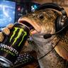 Holy_Kasp
