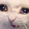 Very Sad Boi