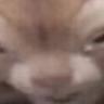 Yourb