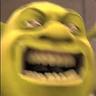 this is my swamp