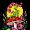 [adult swim]
