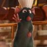 Head Chef