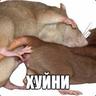 Пупсик|Csgomind.ru