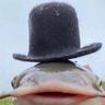 Catfish ⁧⁧[Classiest]